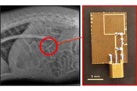 Draper, MIT and Brigham and Women’s Hospital developed an ingestible biosensor for the digestive tract that addresses a common problem with implantable devices: How do you power them? Image credit: MIT, Draper