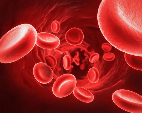 The apheresis platform separates specific components in blood as desired by health care providers.