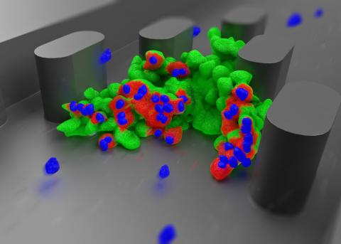  In tests Draper demonstrated that it could closely mimic the body’s own tumor environment outside the body—and drive and measure tumor-immune interactions—a boon for cancer researchers.