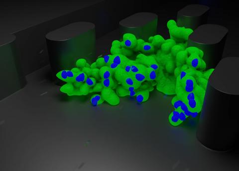 Modified immune cells are introduced to the tumor in Draper's EVIDENT device.