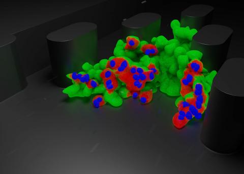 Modified immune cells begin attacking the tumor.